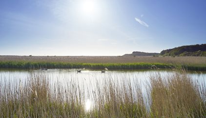 Songs, Scales and studies at Cley this summer