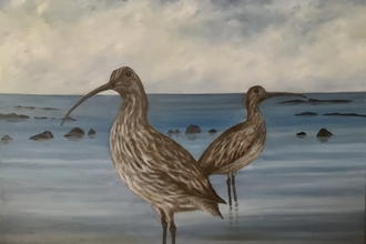 Avocets standing in water