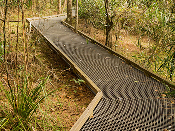 A wood and metal decking path through a reserve