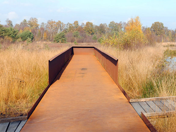 A lookout viewing point on a reserve, with trees and water in the background