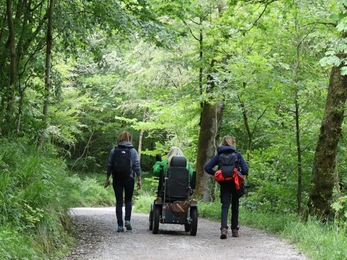 A path in the woods with two people walking beside a woman in a wheelchair