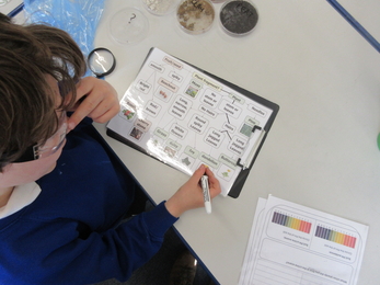 A schoolchild pictured from above as they work on a nature worksheet