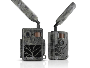 Two trail cameras