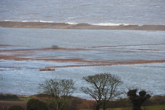 Flooded ground at NWT Cley Marshes, with the sea in the background and dry ground with trees in the foreground