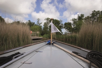 A boat with a NWT flag sailing through reeds. 