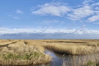 Marshes and reedbed at NWT Cley Marshes on a sunny day, with some white fluffy clouds floating across the blue sky