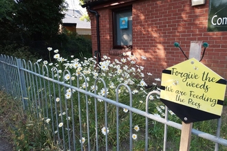A patch of white wildflowers behind a blue metal fence, with a red-bricked building behind the flowers. There is a bee-shaped sign beside the flowers, which reads 'Forgive the weeds, we are feeding the bees'