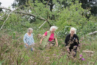 Three people walk through a field filled with trees and wildflowers. One wears a Norfolk Wildlife Trust fleece, while another wears a pink shirt and the third wears a blue and white shirt. All three have short, grey hair.