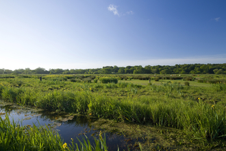 Thorpe Marshes on a sunny day, with a bright blue sky overlooking the blue water of a marsh and a field of green grass