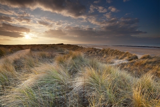 The sun sets in a darkening sky above a dune covered in long grasses, with the beach and sea visible to the right