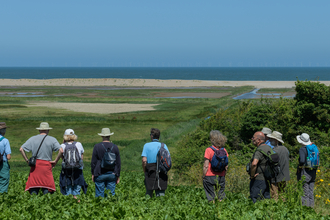 A group of people pictured from behind, as they stand on a green marsh and look out to the sea under a blue sky
