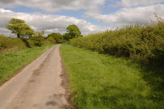A road with hedgerows either side in the summer time. 