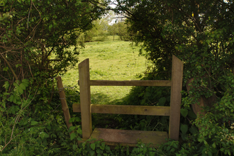 A gate surrounded by bushes overlooking a lush green field.