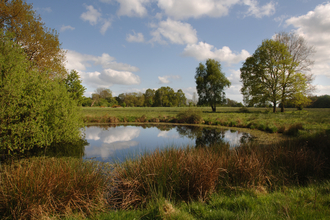 A pond in South Norfolk in the summertime.