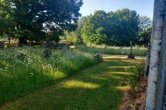 Tall grasses and daisies amongst the graves in a Churchyard with dappled sunlight filtering through the leaves of a large tree