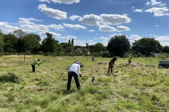 Members of NWT distributed green hay on a field on a sunny day