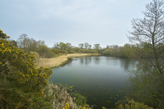 Trees and shrubs surrounding a pool at Sparham Pools