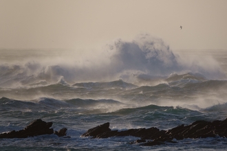 A stormy sea, with large waves crashing