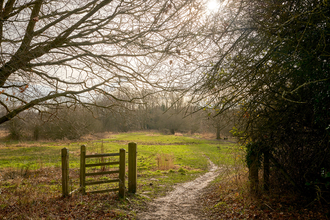A wooden gate and winding muddy path in winter at Sweet Briar Marshes