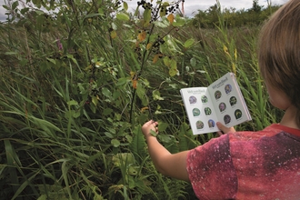 Boy holding a wildlife quiz book whilst looking at a leaf