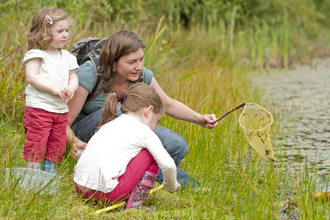 Two children and an adult pond dipping, with the adult holding a net