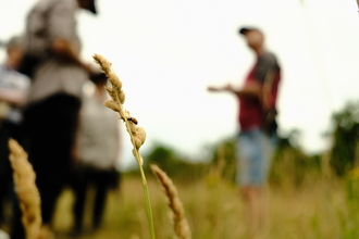 Grass in the foreground with blurred view of people on a guided walk behind