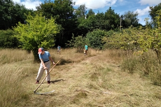 Three people scything long grass on a sunny day