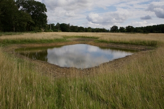 An excavated pingo. It a dug out square filled with water surrounded by grasses.