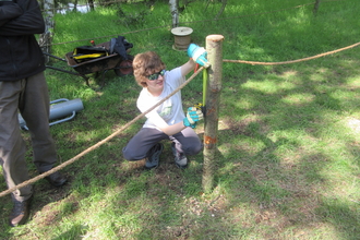 A young person wearing protective goggles kneels by a tree stump and measures it with a tape measure