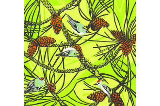 Linocut goldcrests and firecrests climb a pine tree against a bright green background