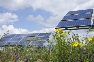 Solar panels with a cloudy blue sky overhead and flowers in the foreground