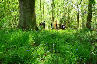 A group of people walking and using mobility scooters at NWT Sweet Briar Marshes