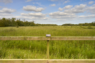 A fence overlooking grass and trees at Upton Broad and Marshes.