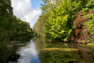 A sunny river wensum