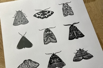 Black moth drawings for Lutestring exhibition