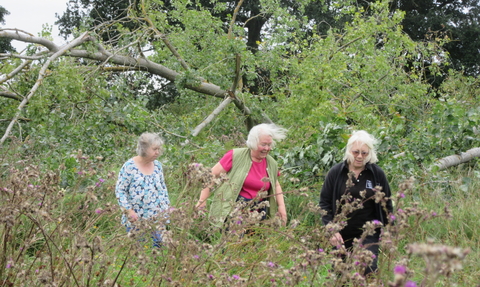 Three people walk through a field filled with trees and wildflowers. One wears a Norfolk Wildlife Trust fleece, while another wears a pink shirt and the third wears a blue and white shirt. All three have short, grey hair.