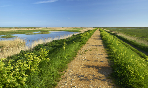A brown-orange path stretches out into the distance, surrounded by lush green grass on each side. Beyond this, there is a field to the right and a marsh to the left, under a bright blue sky