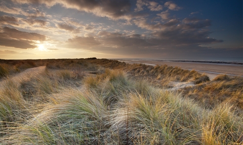 The sun sets in a darkening sky above a dune covered in long grasses, with the beach and sea visible to the right