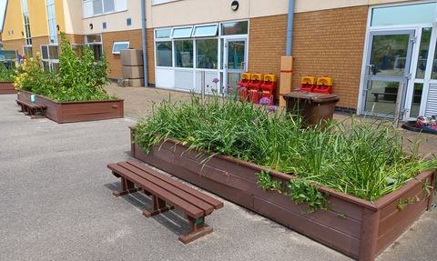 A school playground with raised plant borders filled with green plants, in front of a brick building