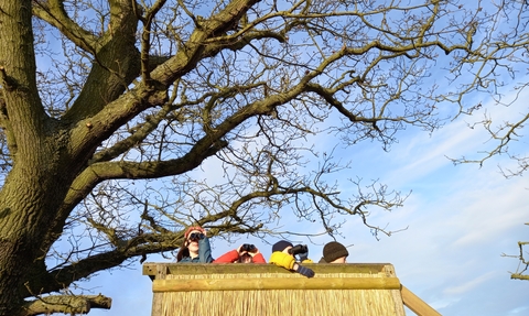Four children on a roost platform, pictured from below, who are looking through binoculars underneath a bare tree and a blue sky
