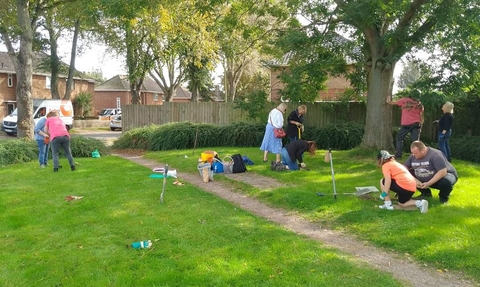 A group of people plant bulbs in patches of grass on a sunny day