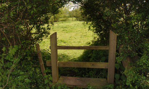 A gate surrounded by bushes overlooking a lush green field.