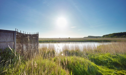 NWT Cley Marshes landscape