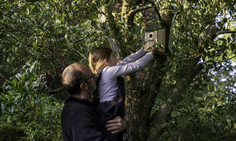 A father and daughter hanging a bird box in a tree.