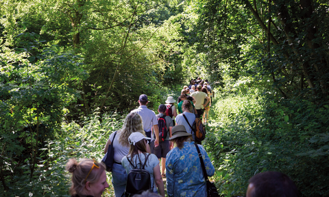 A group of Norfolk Wildlife Trust staff, seen from behind, walking on a reserve