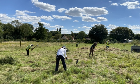 Members of NWT distributed green hay on a field on a sunny day