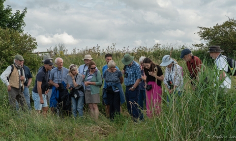 Event participants taking part in a walk at NWT Cley Marshes