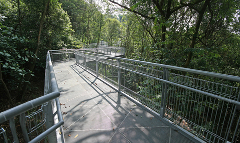 A metal aerial walkway in the canopy of a woodland