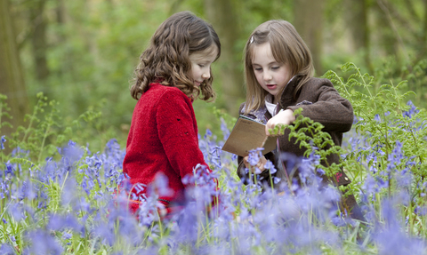 Two young girls study a wildlife spotting book amidst many bluebells