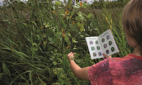 Boy holding a wildlife quiz book whilst looking at a leaf